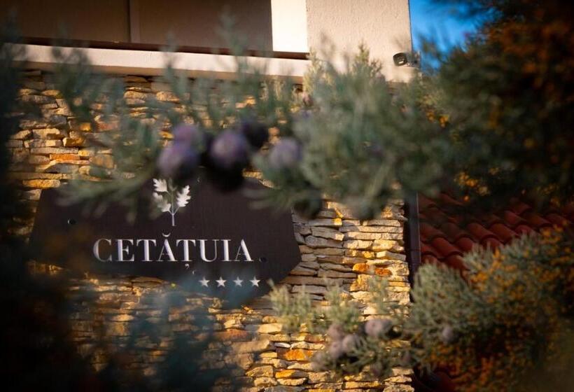 Отель Cetatuia