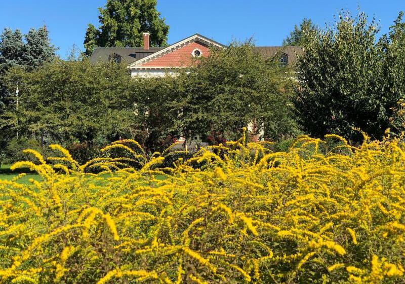 בית מלון כפרי Mcmenamins Grand Lodge