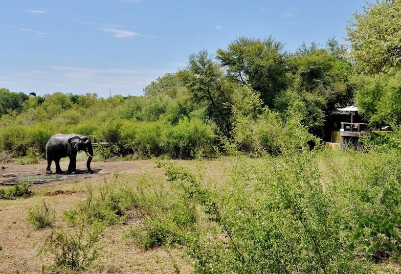 Отель Motswiri Private Safari Lodge