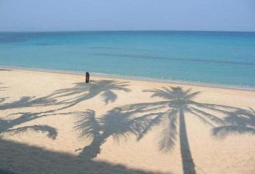 هتل Palm Grove Saud Holiday Complex