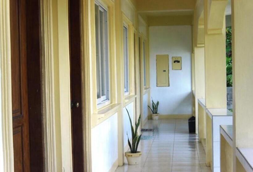 هتل Palm Grove Saud Holiday Complex