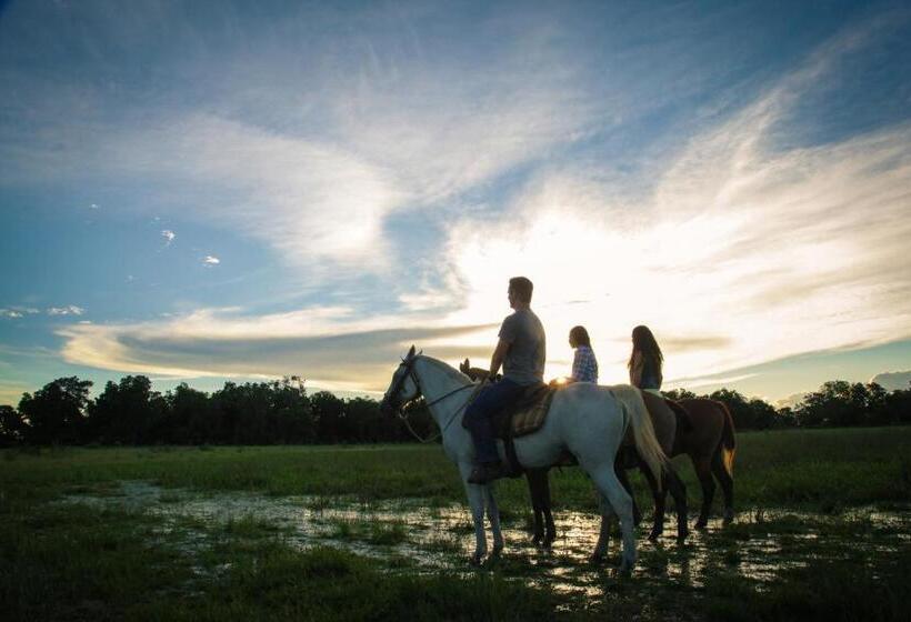 酒店 Pousada Pequi