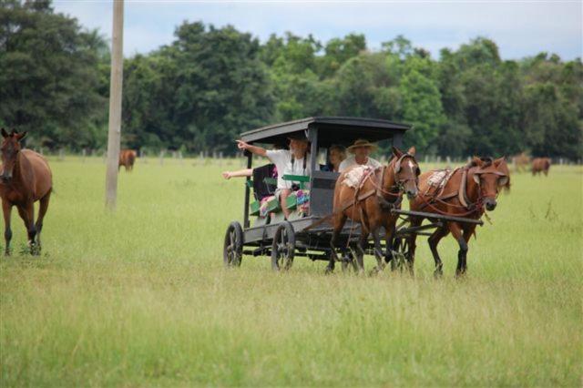酒店 Pousada Pequi