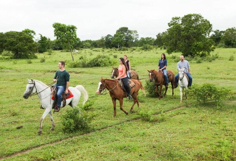 酒店 Pousada Pequi