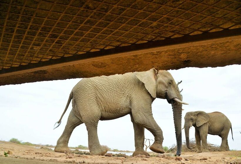 ホテル Last Word Madikwe