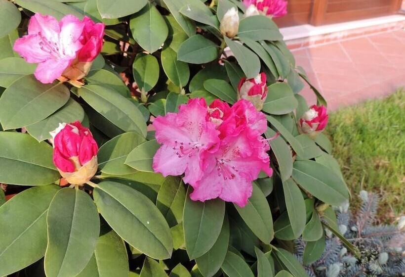 B&b Dora E Flavio Country Rooms