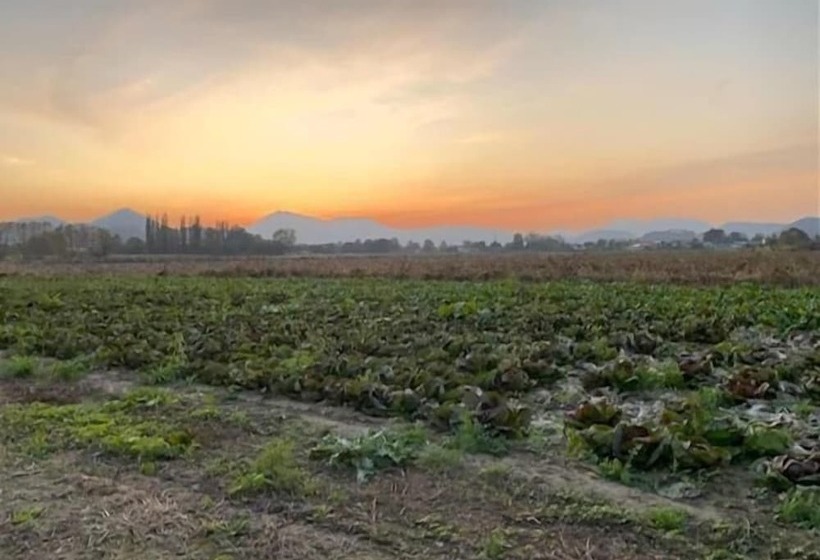 B&b Dora E Flavio Country Rooms