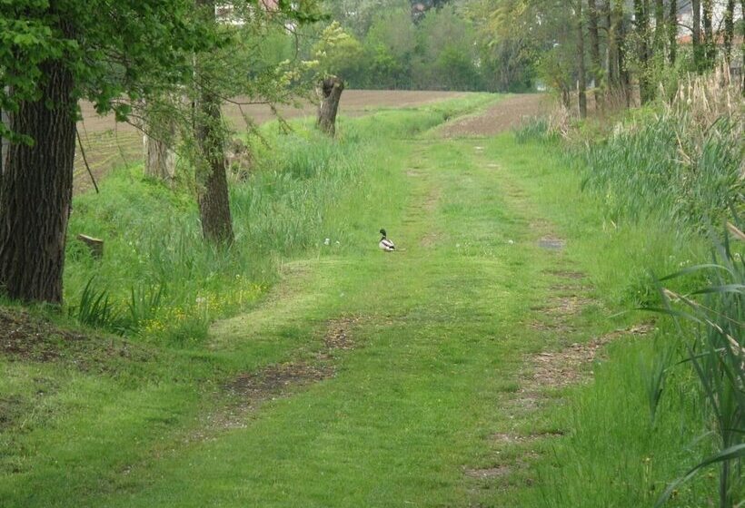 B&b Dora E Flavio Country Rooms