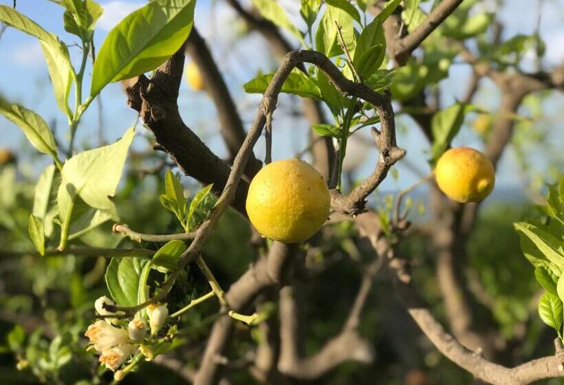 צימר Il Tempio Di Athena   Cultura E Relax A Siracusa