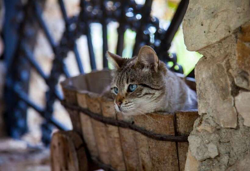 تختخواب و صبحانه Casa Go'el