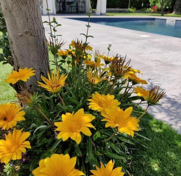 Bed and Breakfast Etna Bike Holiday