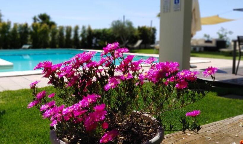 Bed and Breakfast Etna Bike Holiday