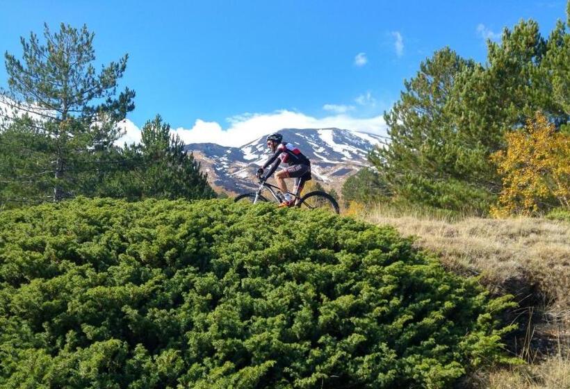 Bed and Breakfast Etna Bike Holiday