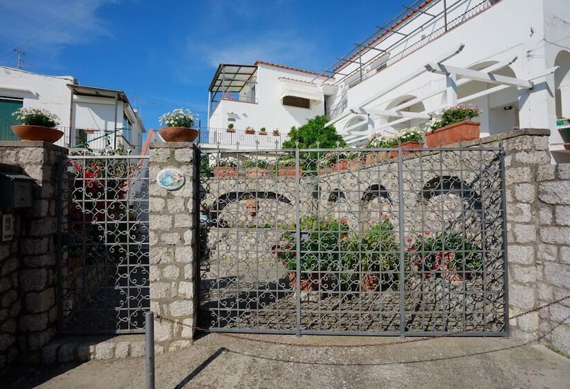 צימר La Ninfa Di Capri