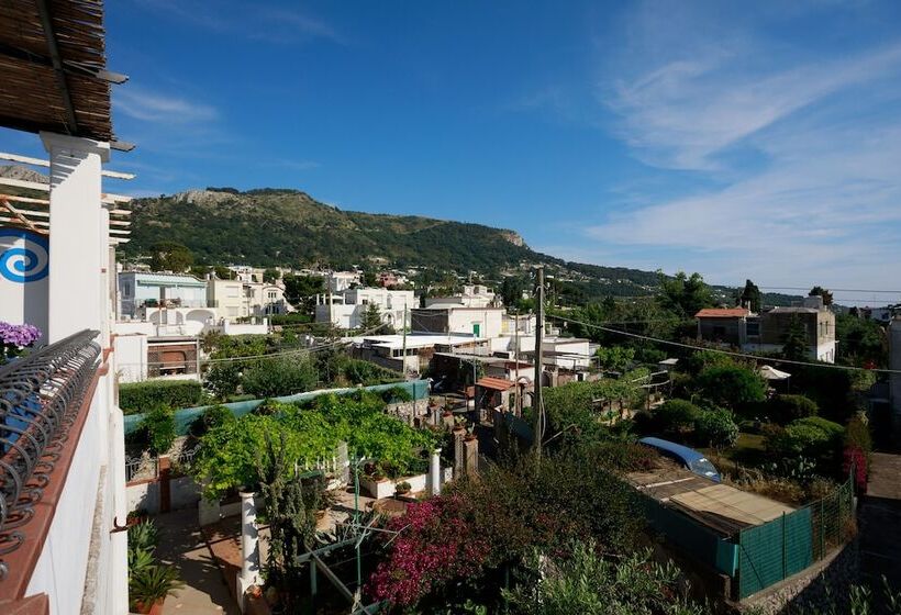 צימר La Ninfa Di Capri