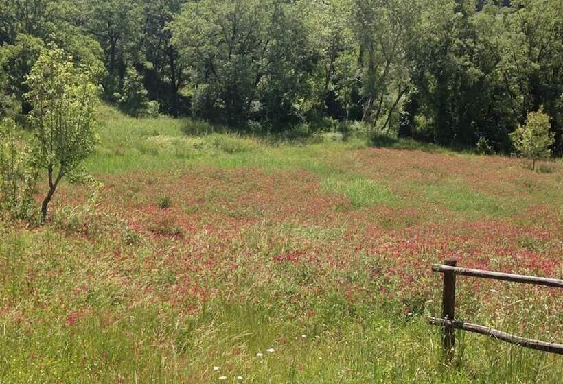 צימר La Timpa Del Cucco