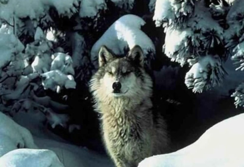 تختخواب و صبحانه Le Antiche Torri