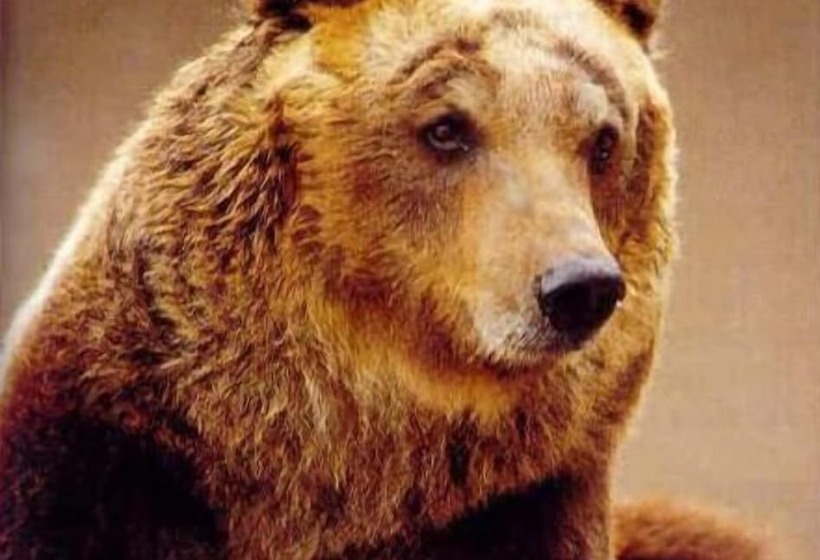 تختخواب و صبحانه Le Antiche Torri