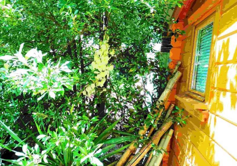 צימר Le Portel Des Arnaud