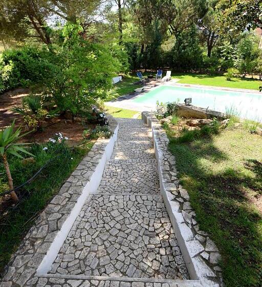 Villa La Mattina Bed & Breakfast