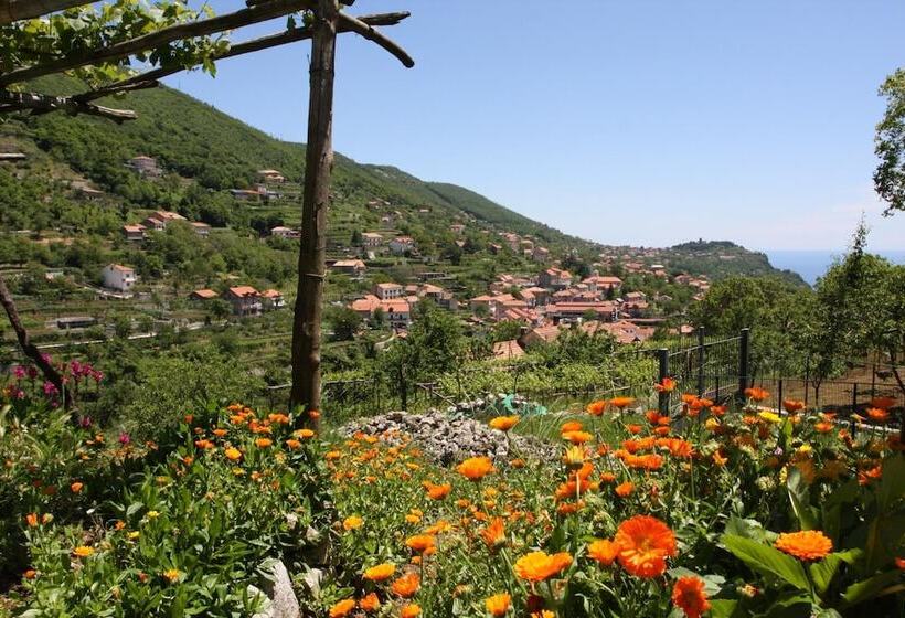 Bed & Breakfast Gilda Inn Agerola