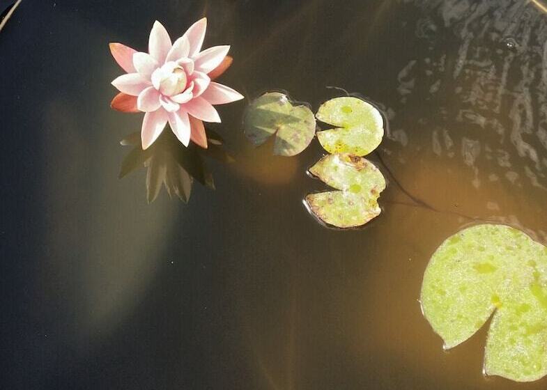 Grandview B&b Mount Dora