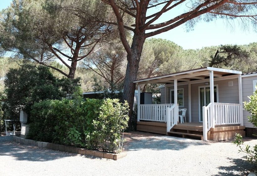 فندق Camping Casa Di Caccia