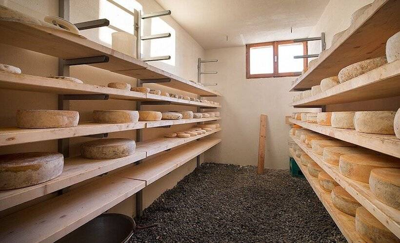 בית מלון כפרי Gallo Cedrone