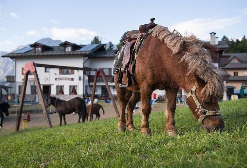 בית מלון כפרי Gallo Cedrone