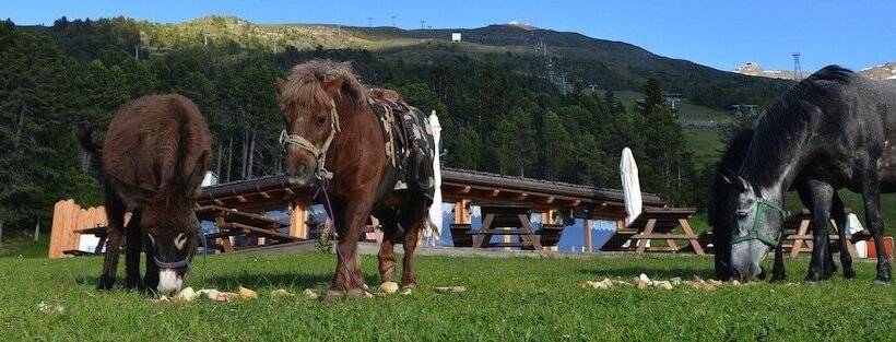 בית מלון כפרי Gallo Cedrone