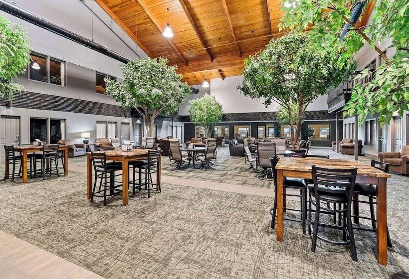 ホテル Heartland Inn & Suites, Surestay Collection By Best Western