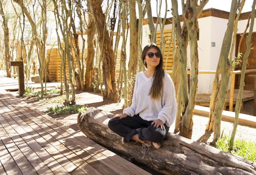 酒店 Lodge Quelana