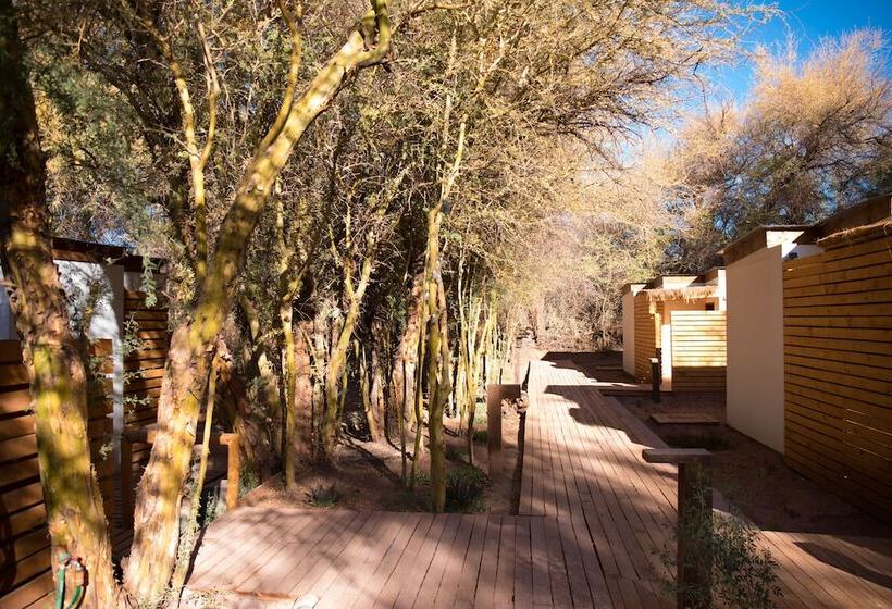 酒店 Lodge Quelana