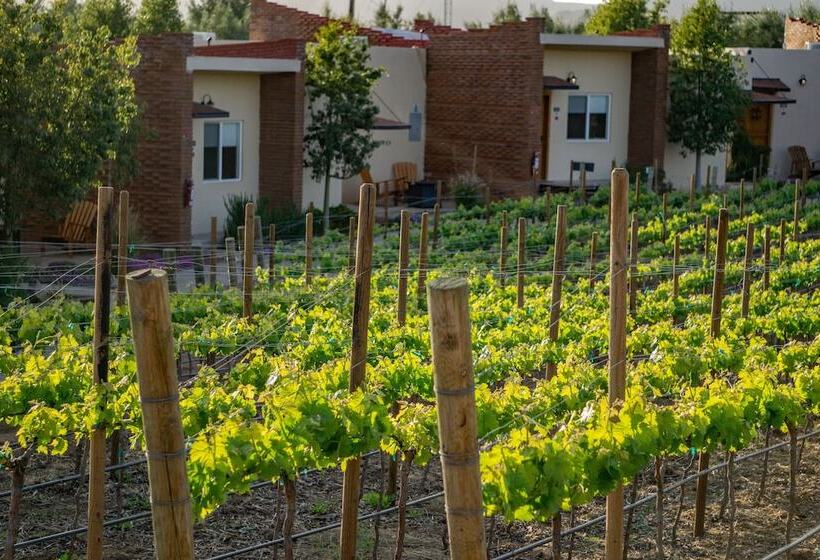 ホテル Ojo Azul Resort