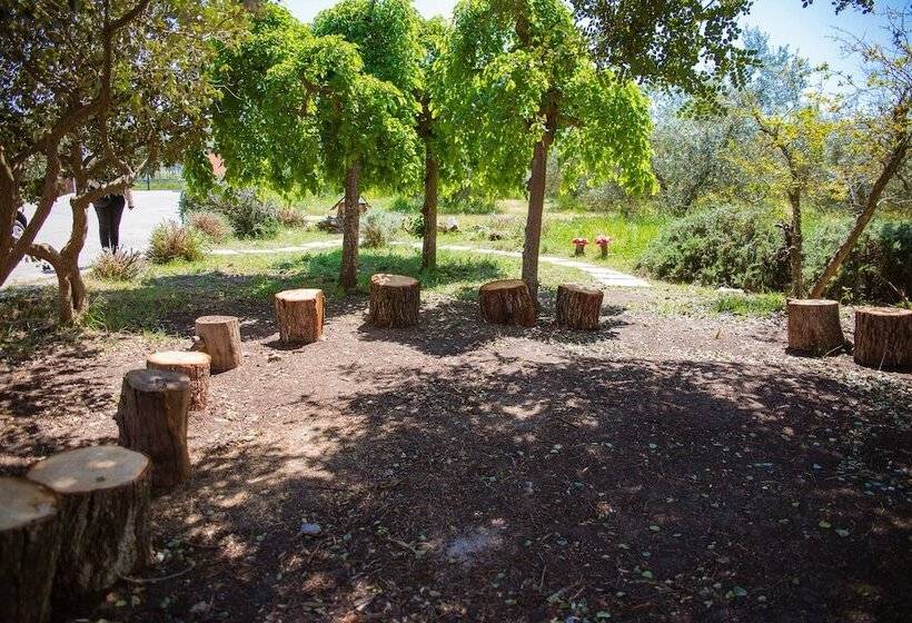 בית מלון כפרי Agriturismo Biologico Piccapane