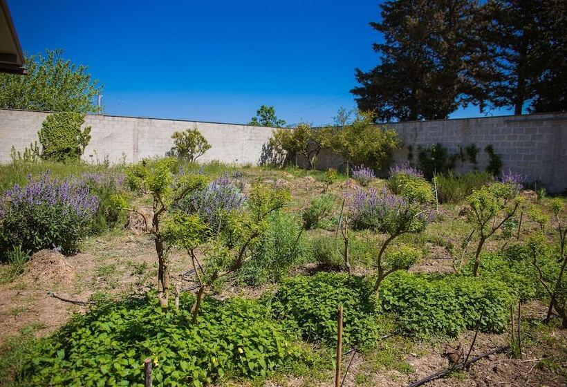 בית מלון כפרי Agriturismo Biologico Piccapane