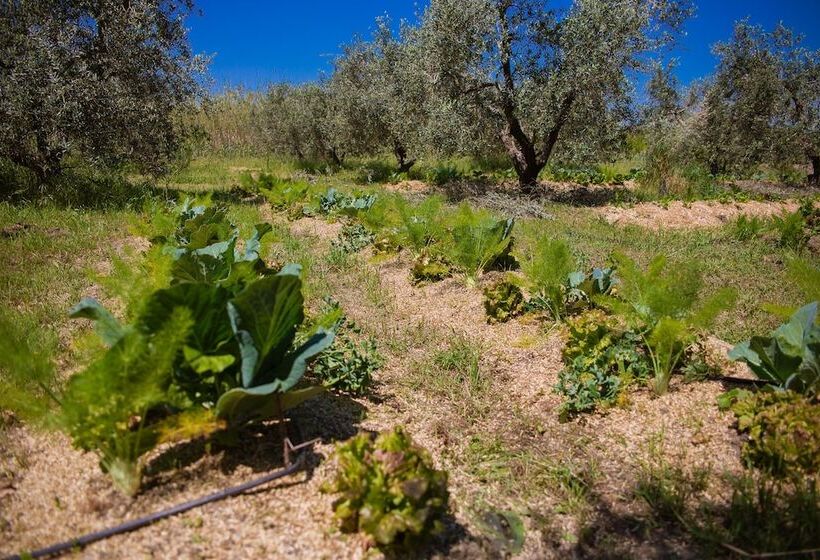 בית מלון כפרי Agriturismo Biologico Piccapane