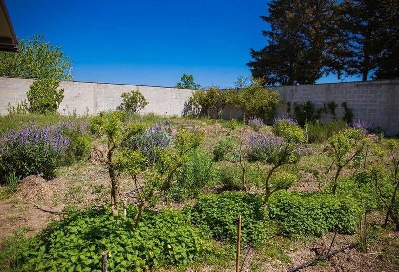 בית מלון כפרי Agriturismo Biologico Piccapane