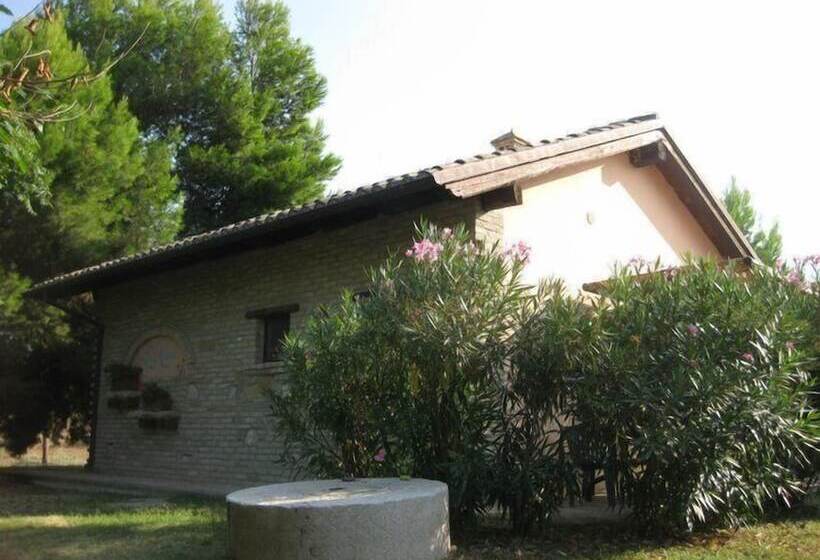 田舎風ホテル Agriturismo Le Macine