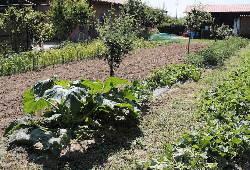 בית מלון כפרי Agriturismo Le Stringaie