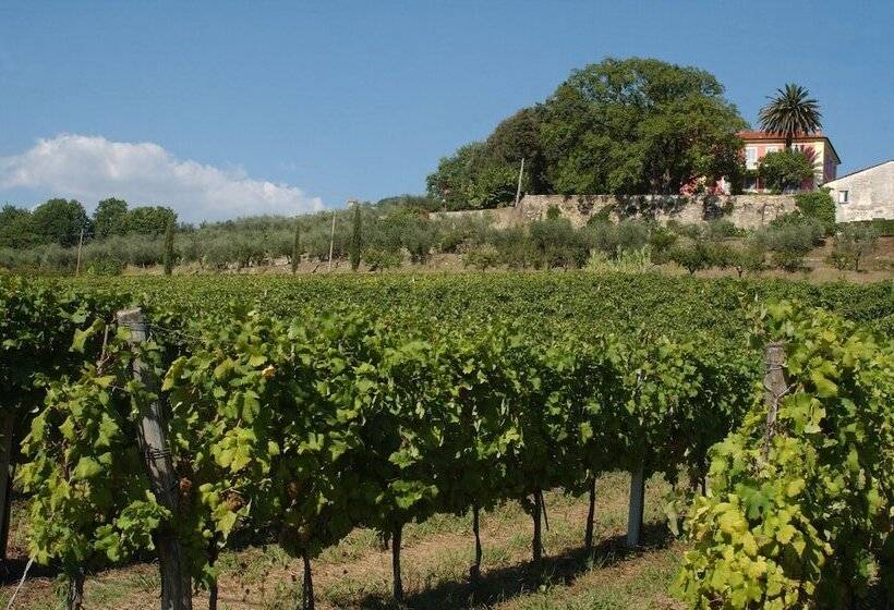 乡村酒店  Agriturismo Monteverde