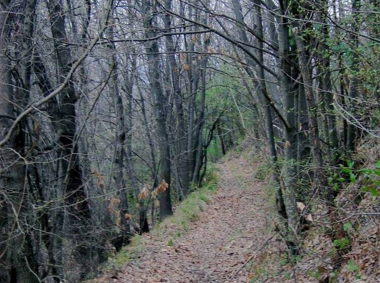 田舎風ホテル Casa Dell Abbondanza B&b Agriturismo