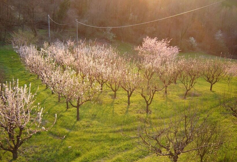 田舎風ホテル Casa Dell Abbondanza B&b Agriturismo