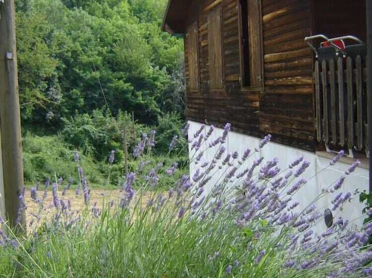 田舎風ホテル Casa Dell Abbondanza B&b Agriturismo