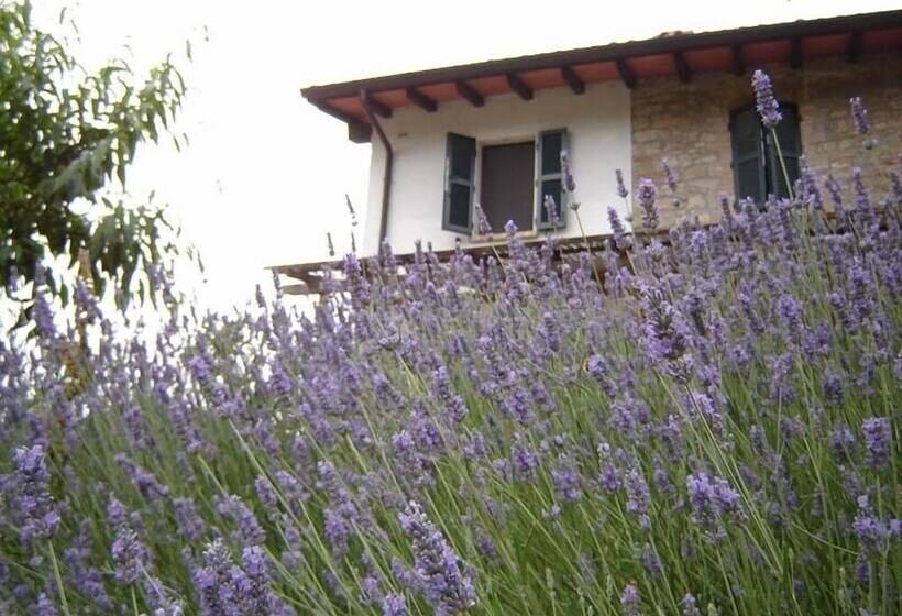 田舎風ホテル Casa Dell Abbondanza B&b Agriturismo