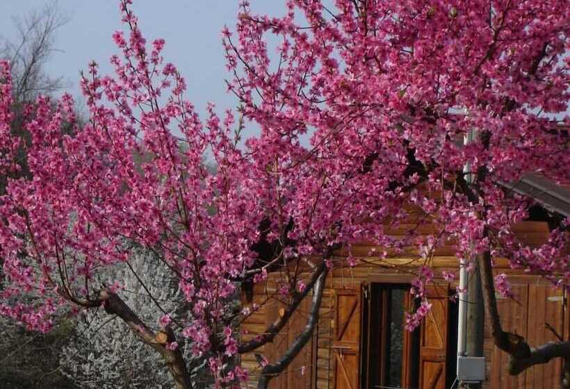 田舎風ホテル Casa Dell Abbondanza B&b Agriturismo