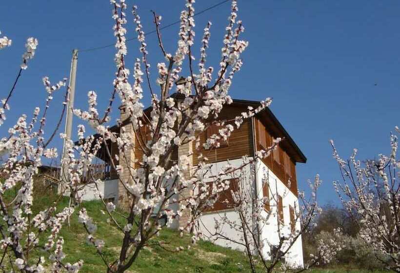 田舎風ホテル Casa Dell Abbondanza B&b Agriturismo