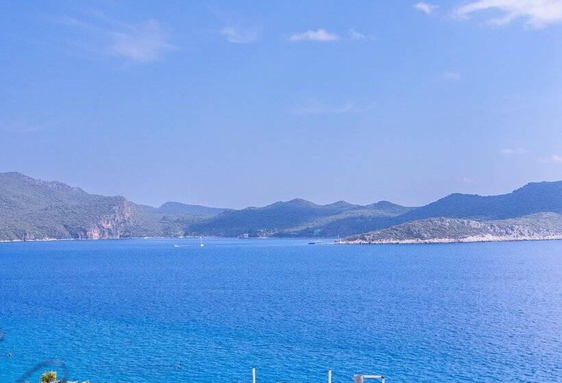 ホテル White House Apart