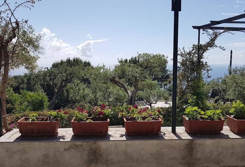 Il Rifugio B&b Capri