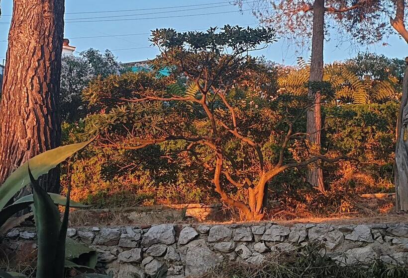 Il Rifugio B&b Capri
